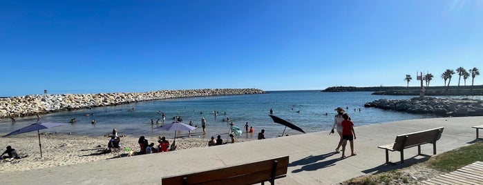 Playa El Ganzo Beach Club is one of San Jose Del Cabo.