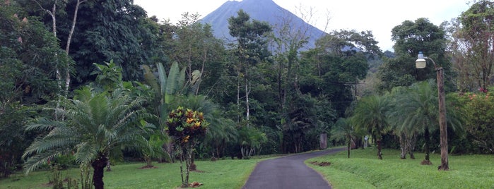 Kokoro La Selva Resort is one of Tempat yang Disukai Josh.