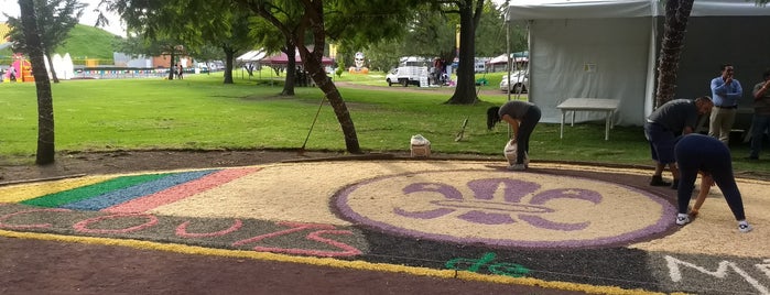 Explanada de Usos Multiples is one of สถานที่ที่ Luis ถูกใจ.