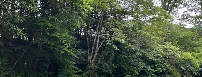 清流園 is one of Favorite Great Outdoors.