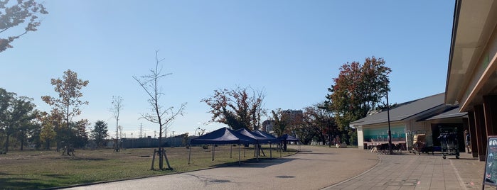 バーベキュー広場 is one of 東京周辺BBQスポット.