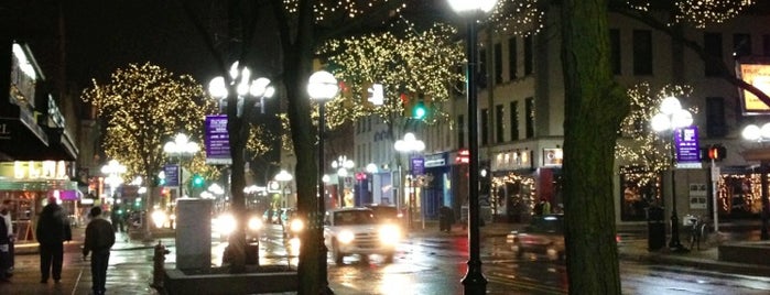 Downtown Ann Arbor is one of UMich Bucket List.