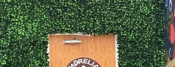 Morelia Gourmet Paletas is one of Florida.