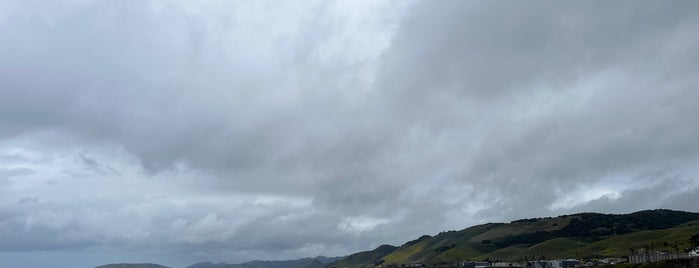 Pismo State Beach is one of SLO.