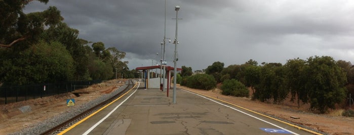 Womma Railway Station is one of Gawler Train Line.