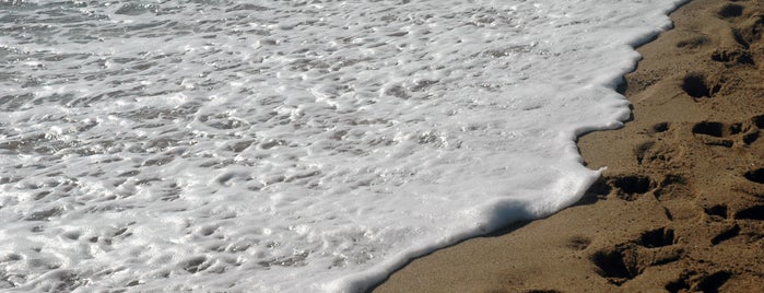 Plage de la Barceloneta is one of -> Spain.