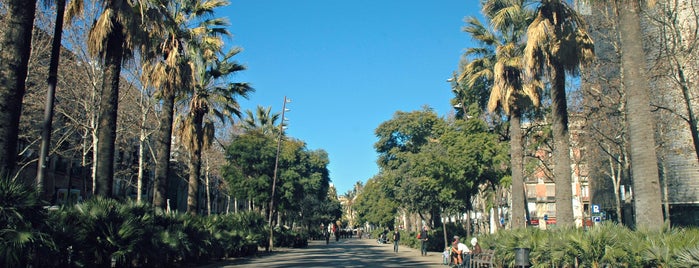 Rambla del Raval is one of -> Spain.