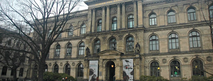 Museo de Historia Natural is one of -> Germany.