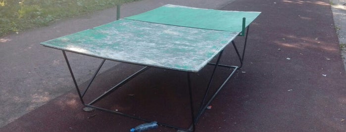 Теннисный стол is one of Уличные теннисные столы.