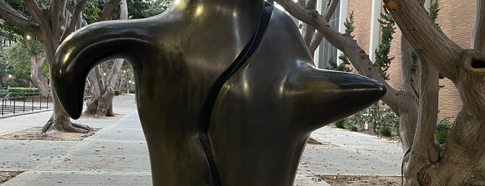 UCLA Franklin D. Murphy Sculpture Garden is one of Odile'nin Beğendiği Mekanlar.