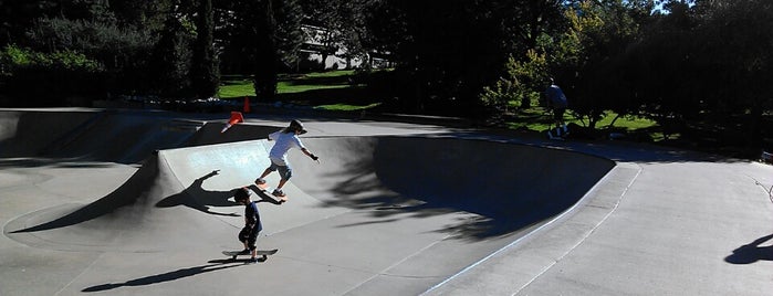 Carson Skate Park is one of Kid World.