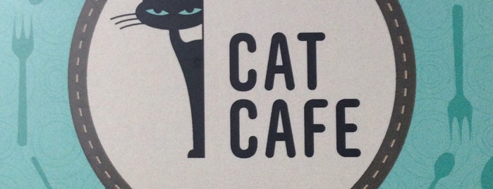 The Cat Café is one of Brno.
