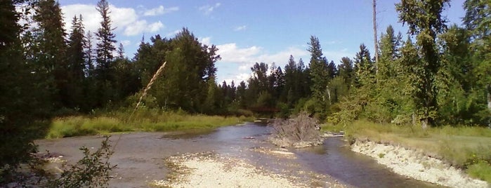 Spruce Park on the River is one of สถานที่ที่ Müzeyyen ถูกใจ.