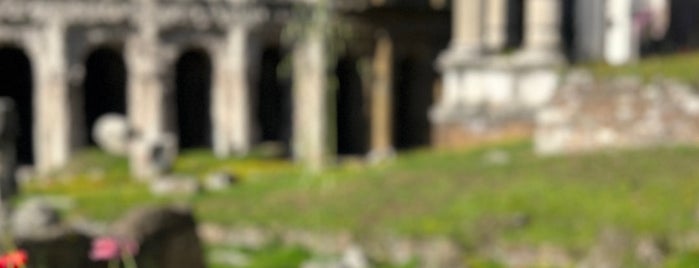 Teatro di Marcello is one of Rome.