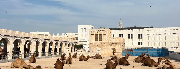 Camel Pen is one of Doha, Qatar.