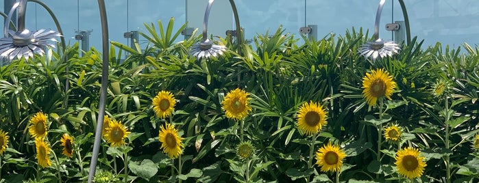 Sunflower Garden is one of Singapur #3 🌴.
