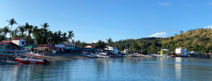 Anilao Market is one of Weekend mode in the Philippines.