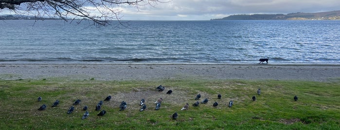 Lake Front Reserve is one of NZ.