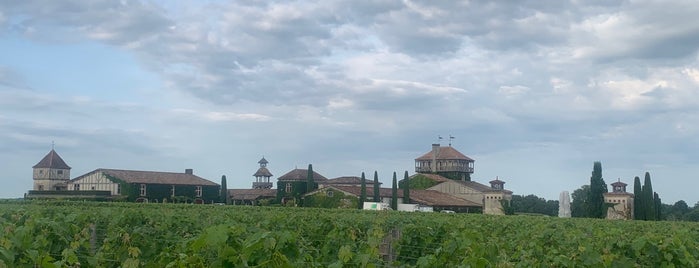 Chateau Smith Haut Lafitte is one of Stevenson Favorite Wineries.