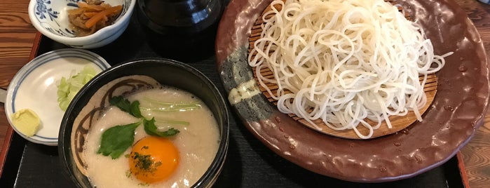 中淸 手打清田 is one of Soba Noodle　お蕎麦屋さん.