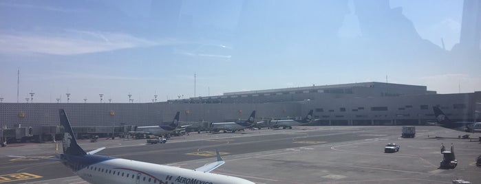 Terminal 1 is one of Carlotaさんのお気に入りスポット.