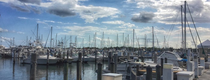 Dinner Key Boat Marina is one of Lugares favoritos de Carlota.