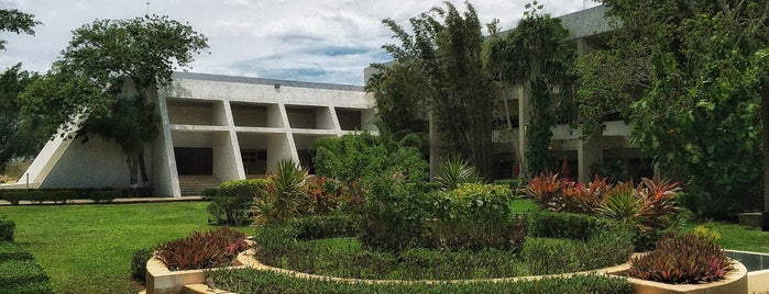 Universidad Anáhuac Mayab is one of Hospital Veterinario Peninsular.