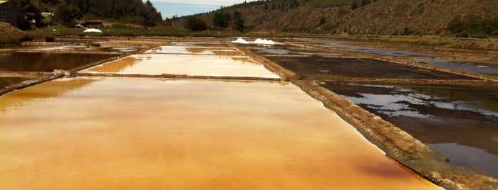 Salinas de Cahuil is one of Carlotaさんのお気に入りスポット.