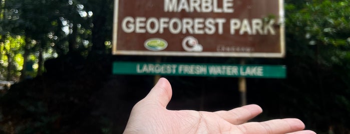 The Dayang Bunting Marble Geoforest Park is one of Travel.