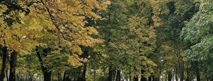 Петровський парк / Petrovsky park is one of Poltava.