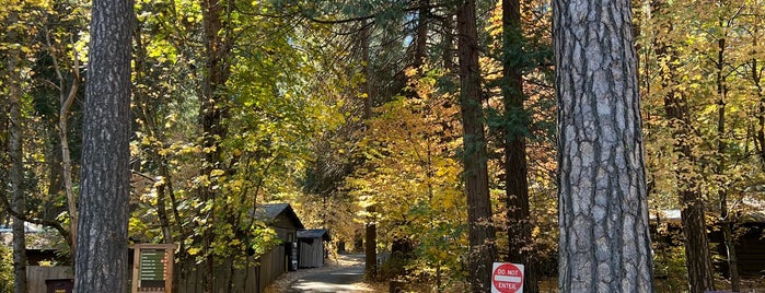 Mirror Lake Loop Trail is one of Yosemite.