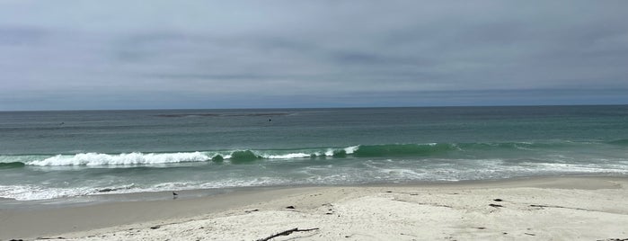 Spanish Bay is one of Alineさんのお気に入りスポット.