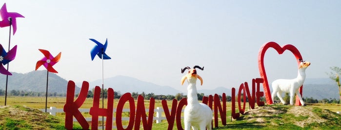 Khonyok Sheep Farm is one of Khao yai.