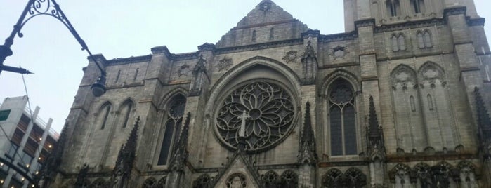 Cathedral Church of St. John the Divine is one of NYC ToDo: Museums/Parks/Stores.