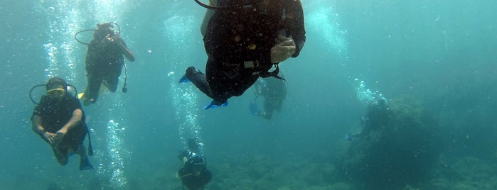 Aziz Aga Diving Point is one of Fethiye.