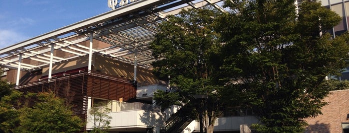 Nagareyama Otakanomori S·C is one of Mall (関東編).