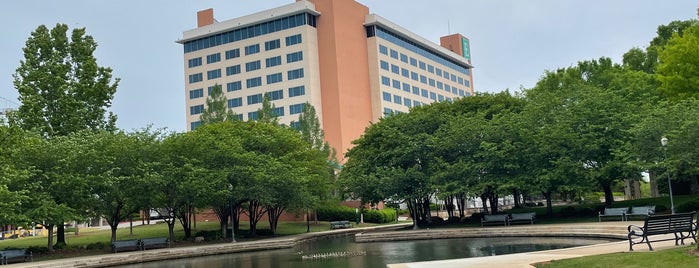 Embassy Suites by Hilton is one of Southern Jets Innanashional Layover Hotels.