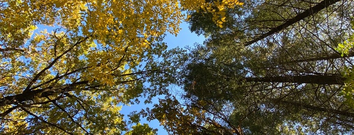 Budakeszi Arborétum is one of Gyerekbarát helyek.