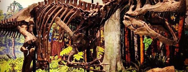 Carnegie Museum of Natural History is one of Posti che sono piaciuti a abigail..