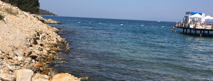 DOTTO Beach&Jetty is one of Bodrum.