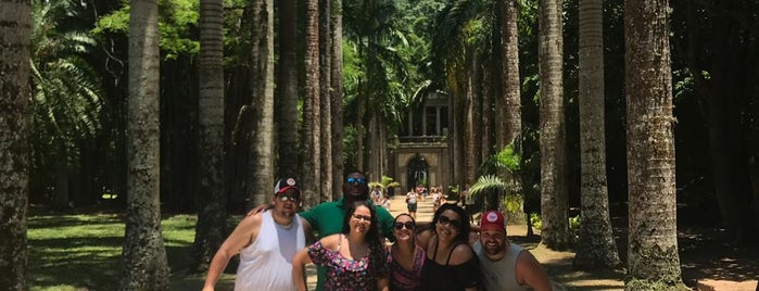 Jardim Botânico do Rio de Janeiro is one of Posti che sono piaciuti a Steinway.