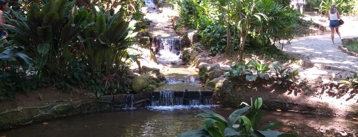 Cachoeira do Jardim Botânico is one of Lugares favoritos de Steinway.