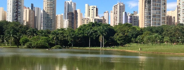 Parque Vaca Brava is one of Goiania.