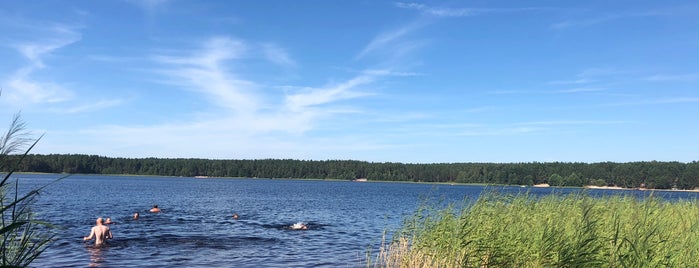 Озеро Свято is one of Нижний Новгород.