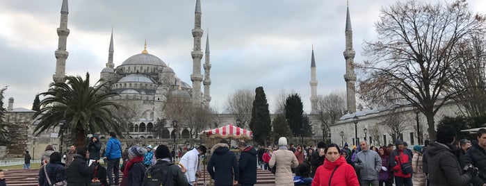 Blue Mosque is one of T’s Liked Places.