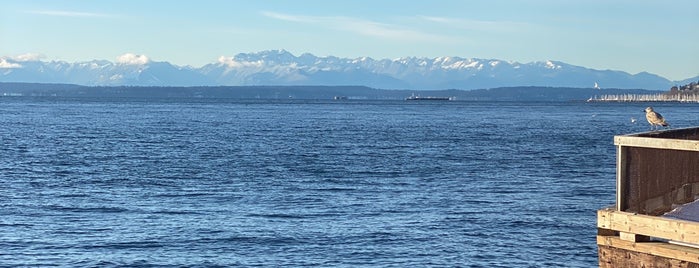 Waterfront Piers is one of Seattle spots.