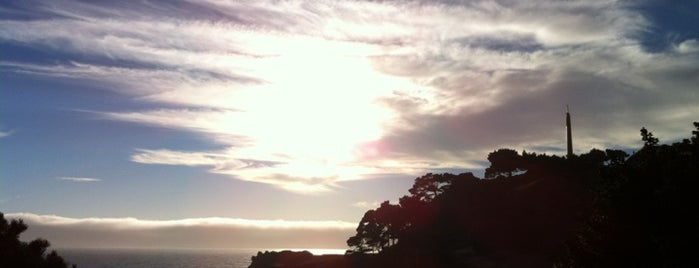 Alexander's is one of Sonoma Coast.