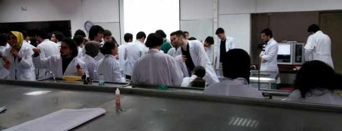 Hacettepe Üniversitesi Tıp Fakültesi 2am1 laburatuvarı is one of En Sık Ziyaret Edilenler.