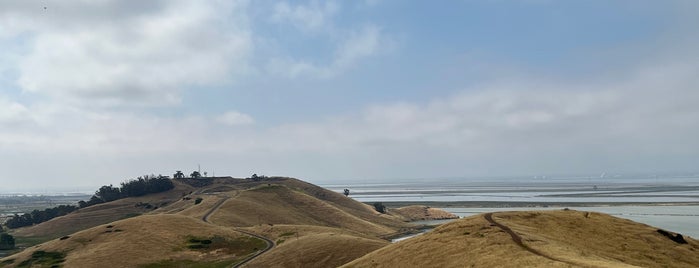 Coyote Hills Regional Park is one of Caroline: сохраненные места.