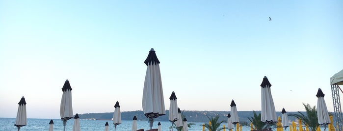 Margo's Sea Bar is one of Varna.